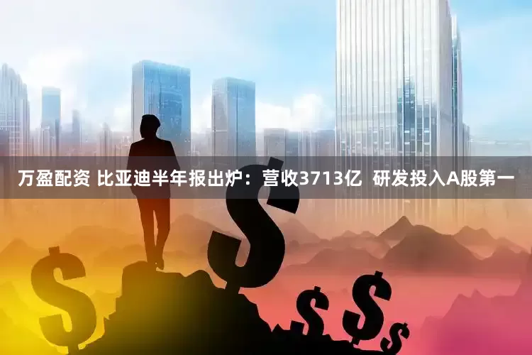 万盈配资 比亚迪半年报出炉：营收3713亿  研发投入A股第一